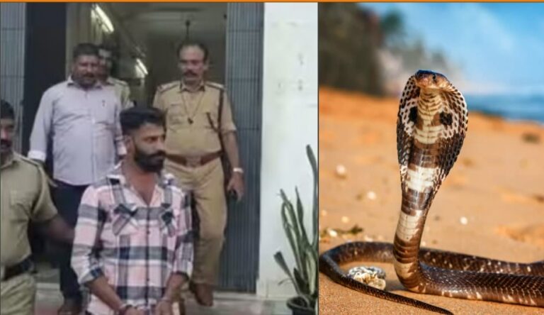 ಮಗಳಿಗೆ ಕಿರುಕುಳ ನೀಡಿದ್ದನ್ನು ಪ್ರಶ್ನಿಸಿದ್ದಕ್ಕೆ ಹಾವನ್ನು ಕೋಣೆಯೊಳಗೆ ಎಸೆದು ವ್ಯಕ್ತಿಯನ್ನು ಕೊಲ್ಲಲು ಯತ್ನಿಸಿದ ಯುವಕನ ಬಂಧನ