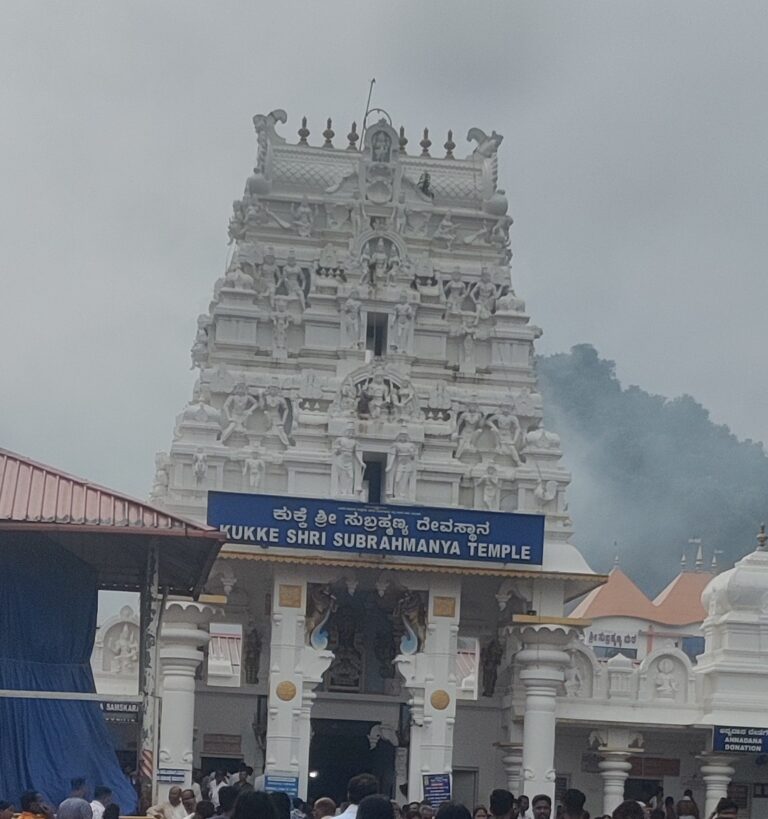 ಈ ನಿರೋಧ, ತಡೆಗಳು ಇವರಿಗೆ ಮಾತ್ರವೇ? ಸರ್ಪಸಂಸ್ಕಾರ ಪೂಜೆ ಮಾಡುವವರಿಗೆ  ಬೇಕಾಗಿದೆ ಜೀವನಕ್ಕೊಂದು ಆರ್ಥಿಕ ಭದ್ರತೆ 