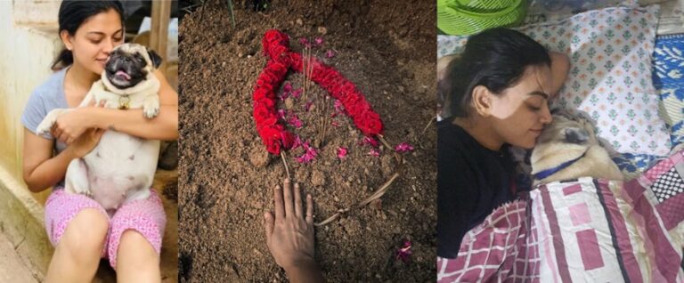 ನಟಿ ಅನುಶ್ರೀ ತಮ್ಮ ಸಾಕುನಾಯಿ ‘ಜೂಲಿ’ಯ ಸಾವಿಗೆ ಭಾವುಕ ಸಂದೇಶದ ಮೂಲಕ ಶ್ರದ್ಧಾಂಜಲಿ